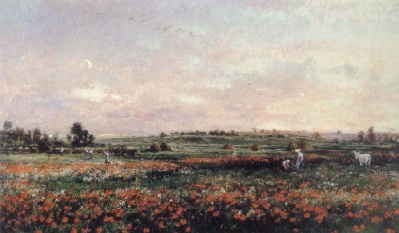 Charles Francois Daubigny Poppy Field Norge oil painting art
